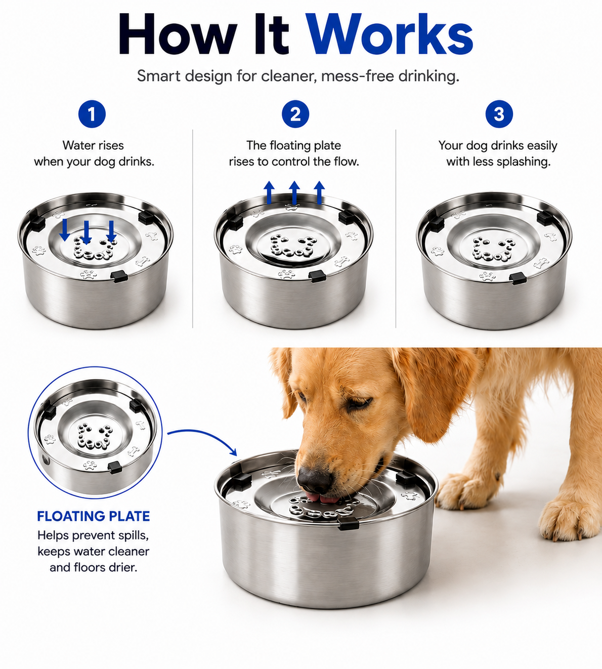 Cleaner Water. Zero Mess. Happier Pup.